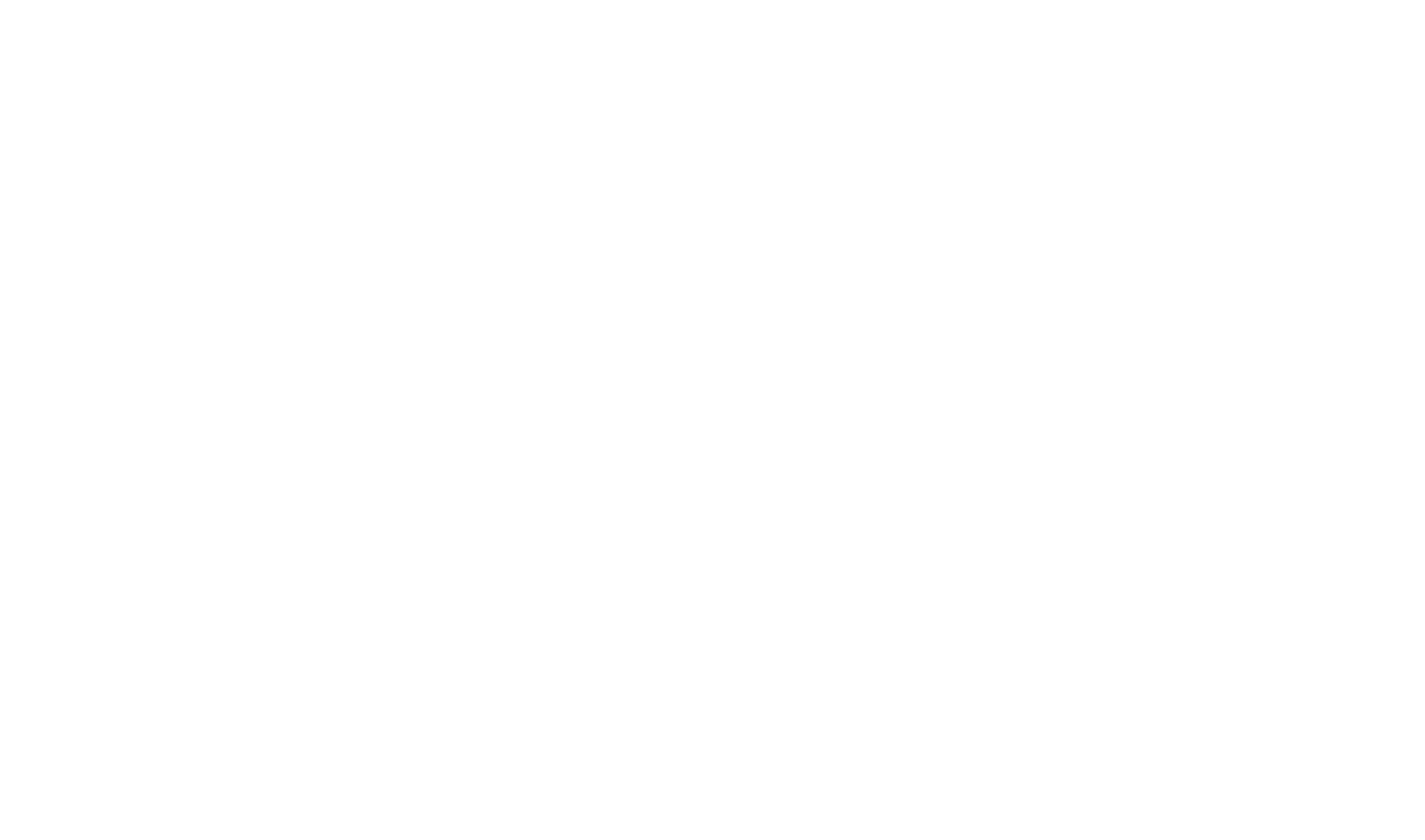 Romax Solutions